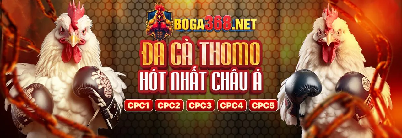 Người chơi trải nghiệm game 66club trên nhiều thiết bị